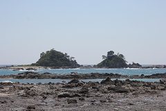 TVw